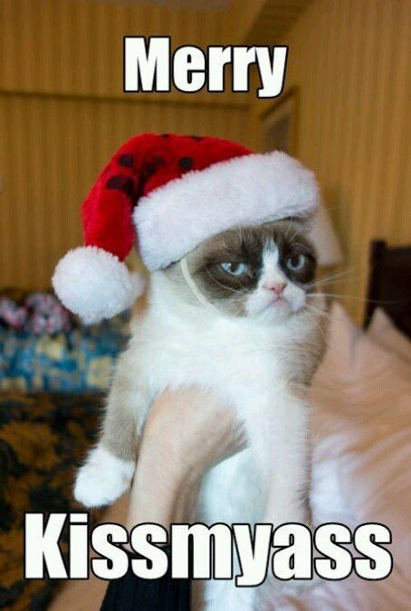 Merry Kissmyass - Grumpy Cat Christmas Meme