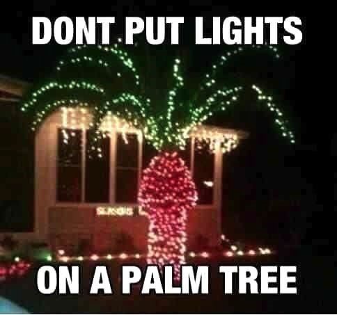 Don't Put Lights On A Palm Tree - Funny Image Meme