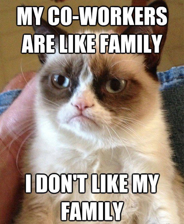 My Co-Workers Are Like Family. I Don't Like My Family - Grumpy Cat Meme
