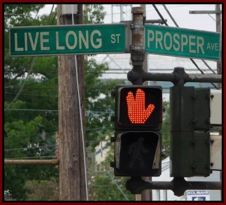 Live Long St And Prosper Ave - Funny Image Meme