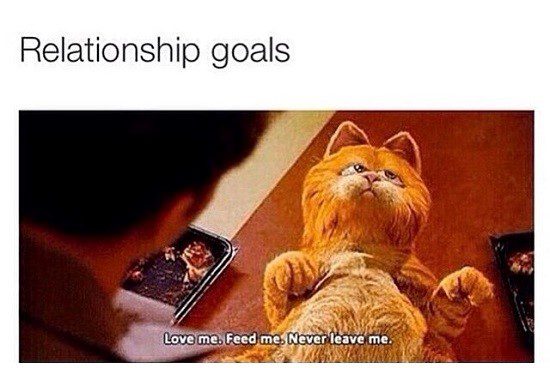 Relationship Goals - hug me, feed me, never leave me. - relationship meme
