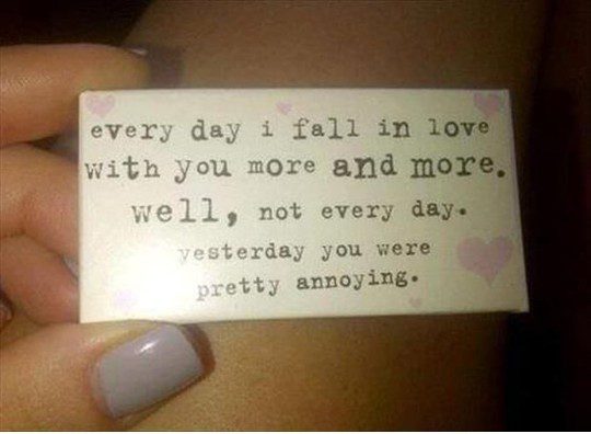 Everyday i fall in love with you more and more. well, not every day. yesterday you were pretty annoying. - relationship meme