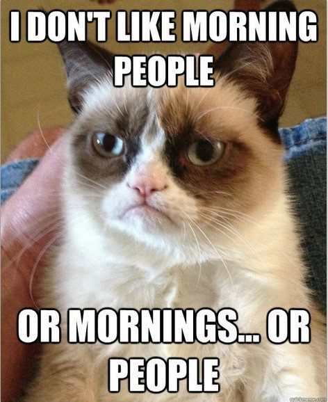 I Don't Like Morning People - Or Mornings, Or People. - grumpy cat meme