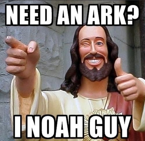 Need An Ark, I Noah Guy- Funny Picture