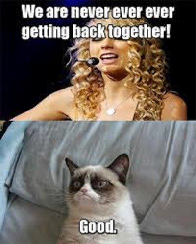 We Are Never Ever Getting Back Together, Good. - grumpy cat meme