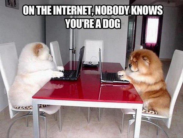On The Internet, Nobody Knows You're A Dog - funny animal picture