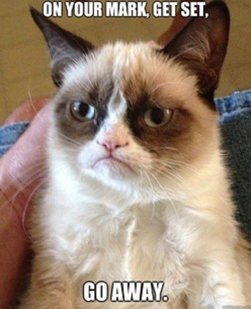 On Your Mark, Get Set, Go Away. - grumpy cat meme