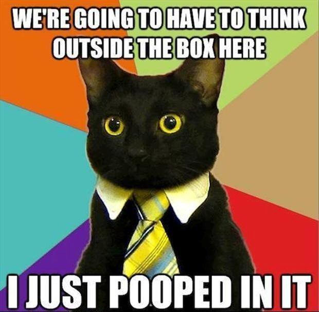 Think Outside The Box - Funny Business Cat Meme - Caption Photo