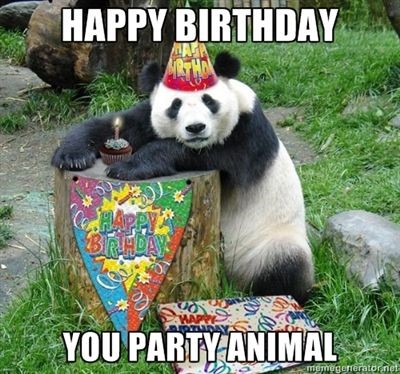 Happy Birthday you party animal birthday meme