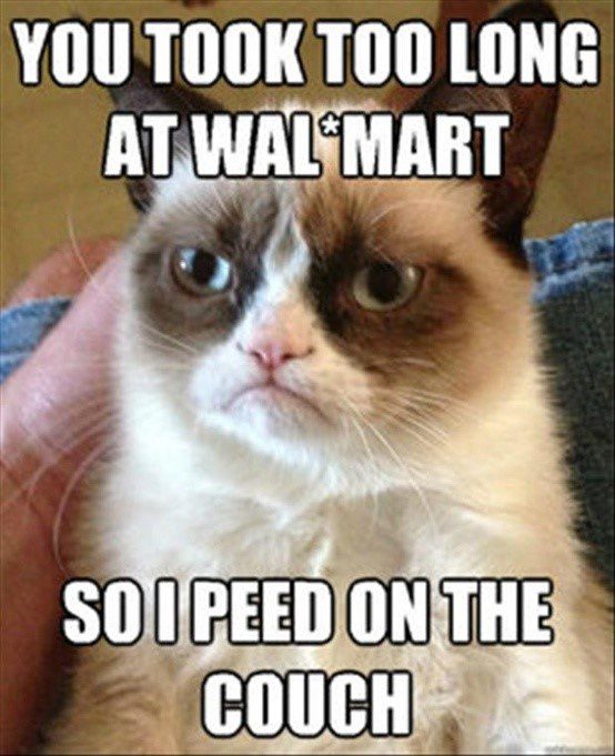 You Took Too Long So..... - Grumpy Cat Caption Photo - funny meme