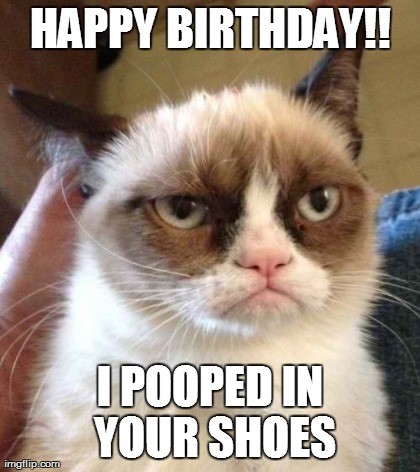 Happy Birthday I Pooped In Your Shoes - Grumpy Cat Birthday Meme