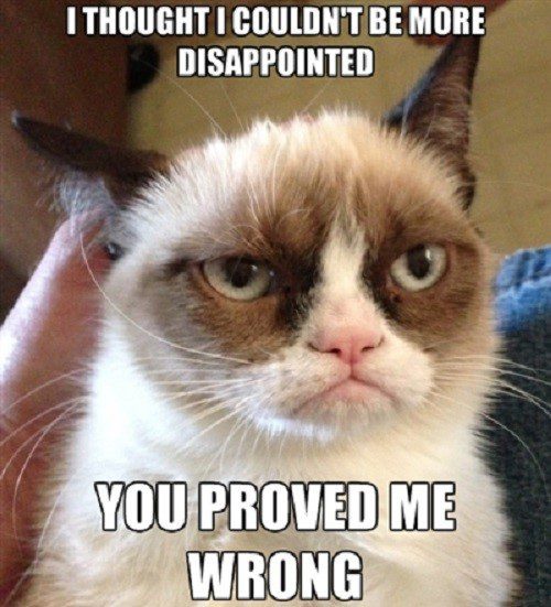 Thought I Couldn't Be More Disappointed, You Proved Me Wrong. - grumpy cat meme