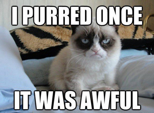 I Purred Once, It Was Awful. - Grumpy Cat Meme