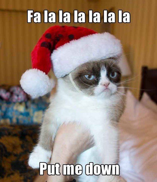 Grumpy Cat Christmas Meme