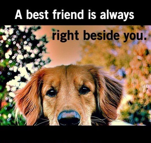 Always Right Beside You - Best Friend Quote