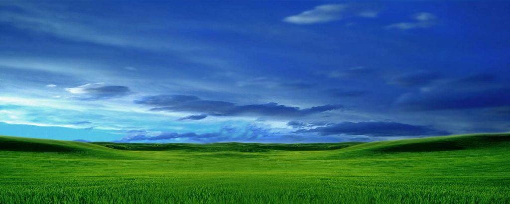 Green Pasture Wallpaper Blue Sky Green Grass - hd tablet background