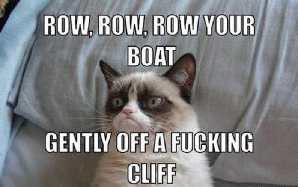 Row, Row, Row Your Boat Gently Off A Cliff - grumpy cat meme