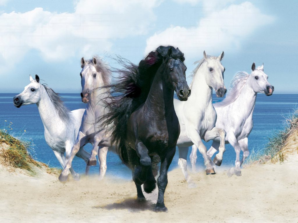 Running Horses Wallpaper Background