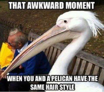 The Same Hair Style - funny Image Meme