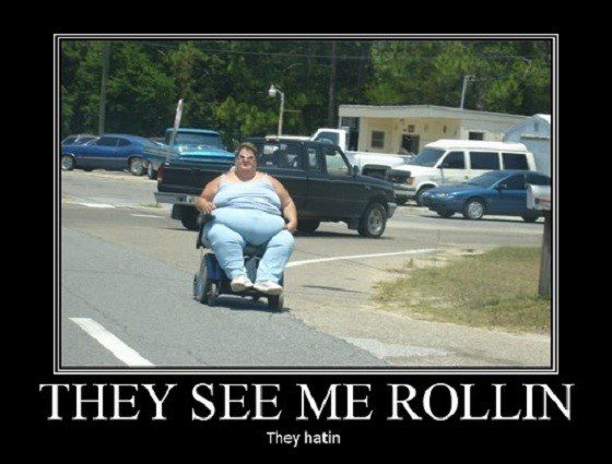 They See Me Rollin - Funny Caption Photo