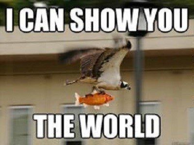 I Can Show You The World - Funny Image Meme