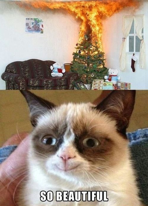 Christmas Tree On Fire, So Beautiful! - Grumpy Cat Meme