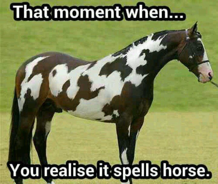 spells horse
