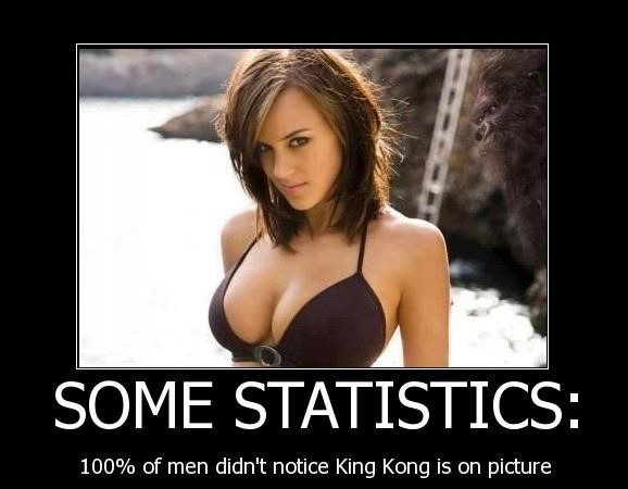 Some Statistics - Funny Caption Photo