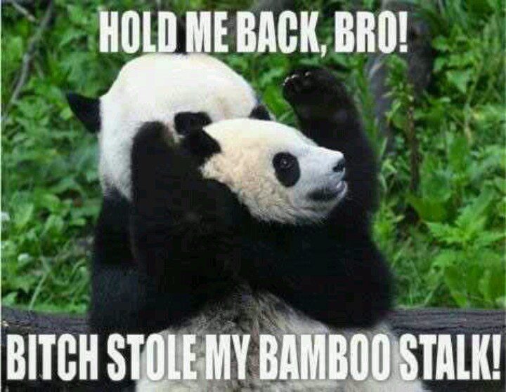 Hold Me Back Bro - Funny Panda Picture