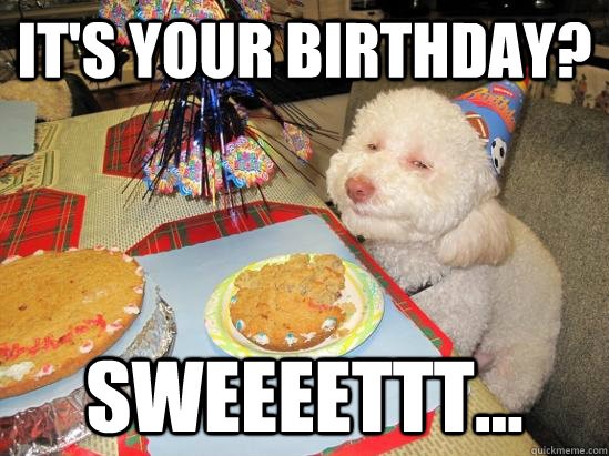 Funny Dog Birthday Meme