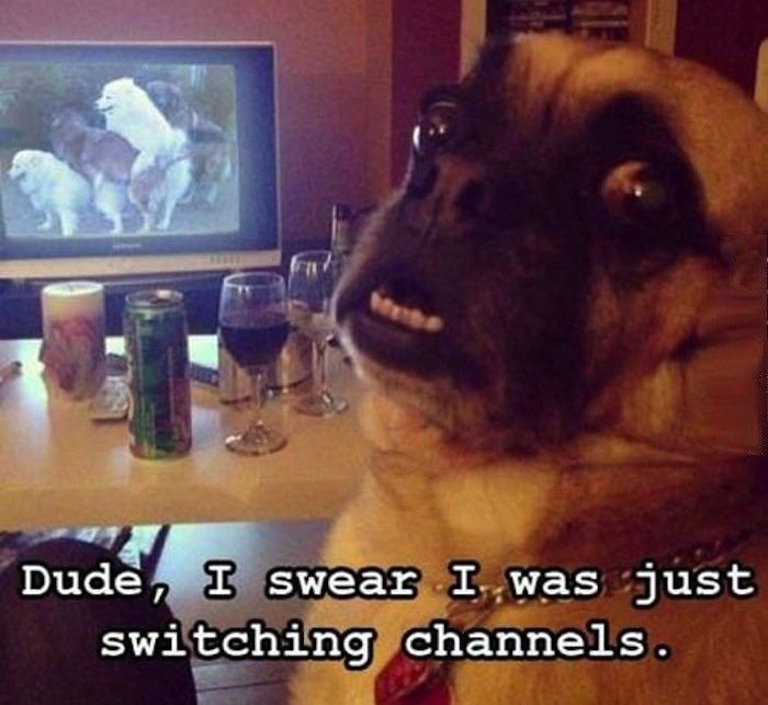 Was Just Switching Channels - Funny Image Meme