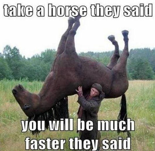 Take A Horse - guy carrying a horse - funny picture meme