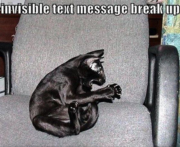 Invisible Text Message Break Up - Funny Cat Picture