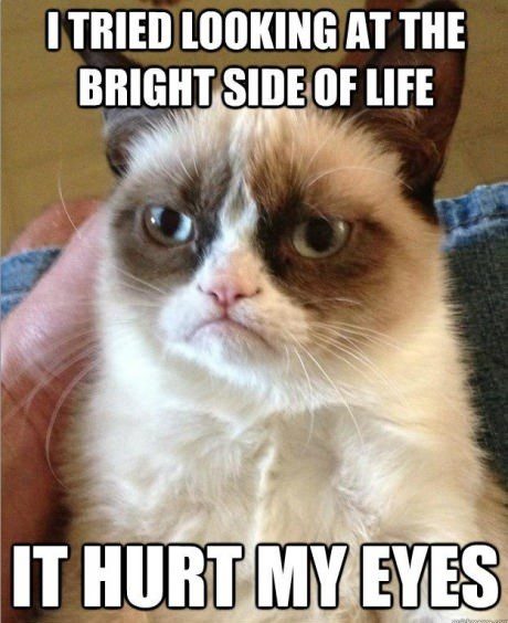 Tried Looking At The Bright Side, It Hurt My Eyes. Grumpy Cat Meme