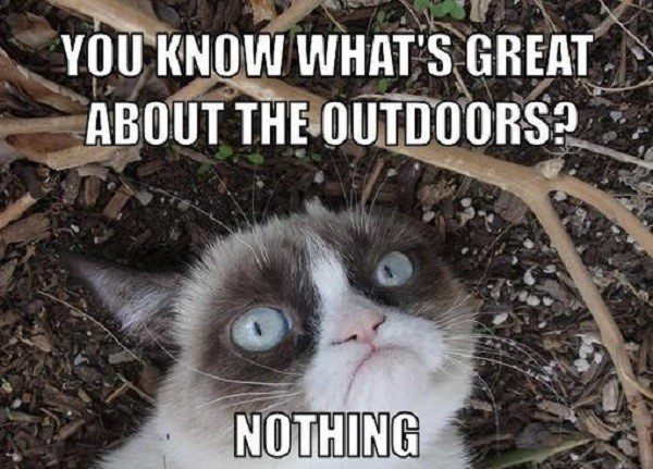 You Know What's Great About The Outdoors? Nothing. - grumpy cat meme