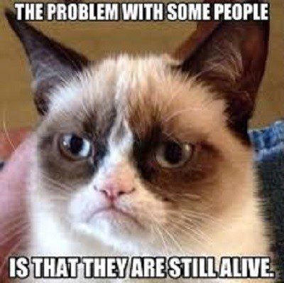 The Problem With Some People - grumpy cat meme
