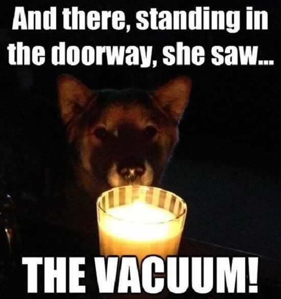 Dog Tells A Scary Story - Funny Caption Photo