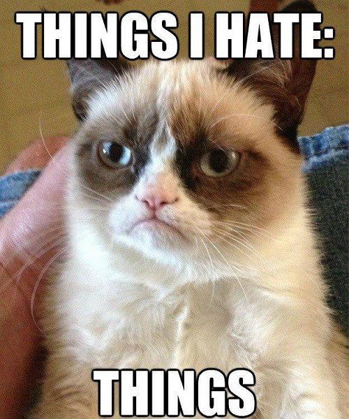 Things I Hate: Things - grumpy cat meme
