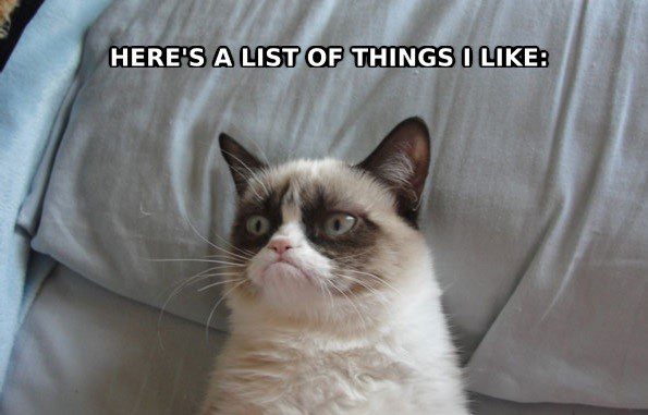 A List Of Things I Like - grumpy cat meme