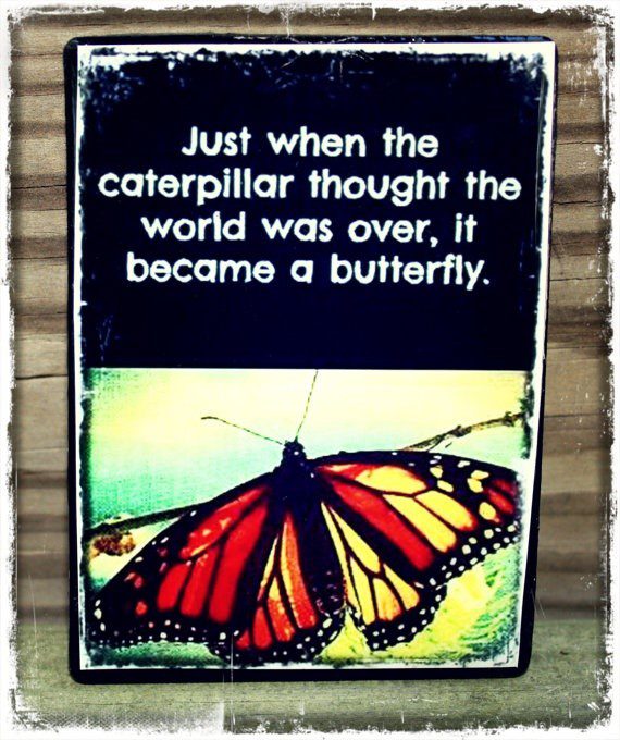 Just When The Caterpillar Thought The World Was Over, It Became A Butterfly. - Uplifting Quote