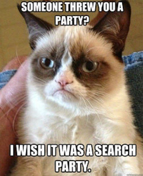 Someone Threw You A Party? I Wish It Was A Search Party - grumpy cat meme
