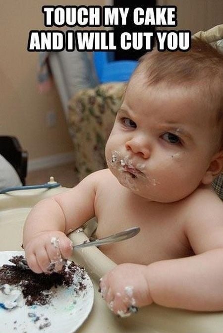 Don't touch My Cake - funny Caption Photo