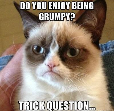 Do You Enjoy Being Grumpy? Trick Question - grumpy cat meme