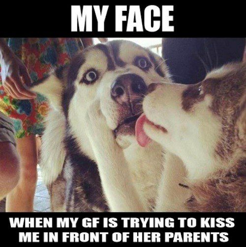 My Face When My Girlfriend Is Trying To Get Kisses In Front Of Her Parents - relationship memes