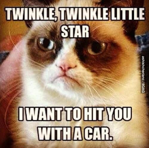 Twinkle Twinkle Little Star, I Want To Hit You With A Car. - grumpy cat meme