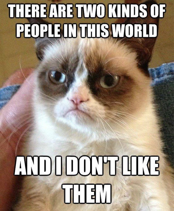 There Are Two Kinds Of People In This World, And I Don't Like Them. - grumpy cat meme