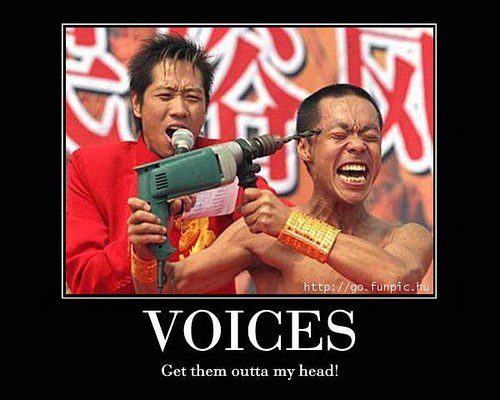Voices In My Head - funny caption photo
