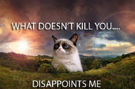 What Doesn't Kill You... Disappoints Me. - grumpy cat meme
