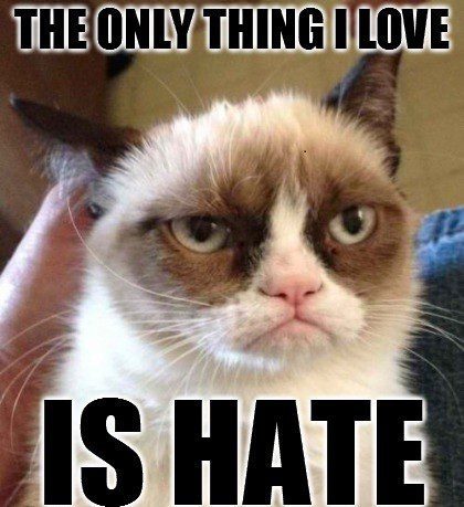 The Only Thing I Love Is Hate - grumpy cat meme