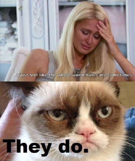 The Whole World Hates Me - grumpy cat meme